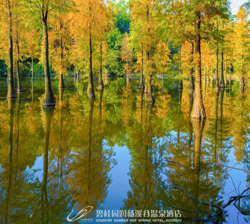 Country Garden Hot Spring Hotel Huizhou Hujcsou Kültér fotó