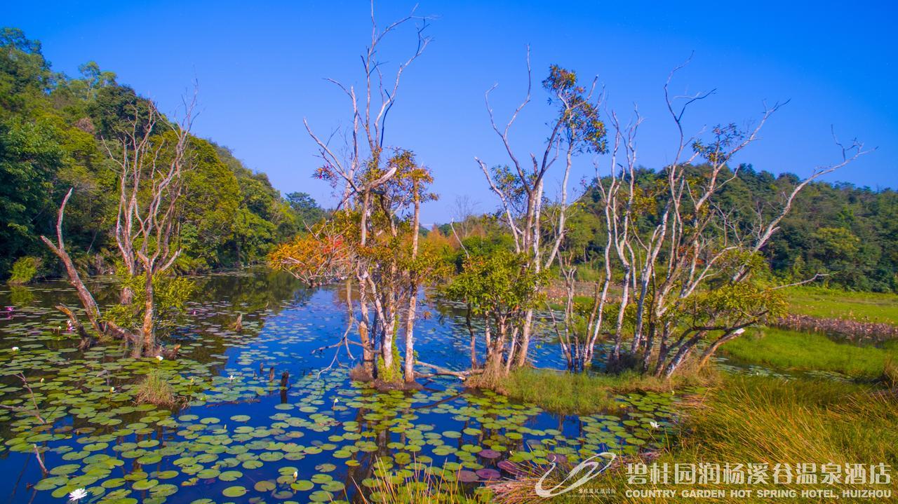 Country Garden Hot Spring Hotel Huizhou Hujcsou Kültér fotó